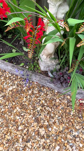 GardenDelights on TikTok