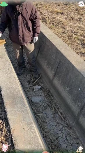 “Follow me! I share practical life hacks every day---let's go!”#lifehacks #fyp #foryou #diy