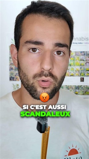 7 produits CBD sur 10 sont contaminés 🍄 #shorts