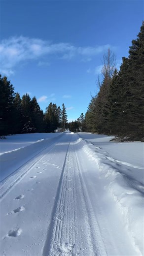 Michiganders medicine | michigan