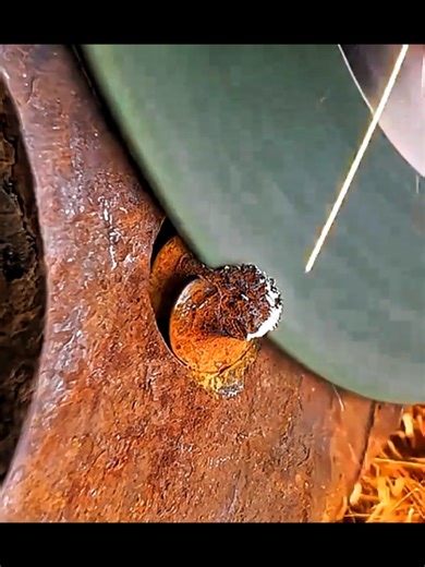 New Year Automotive Tips and Tricks for 2026