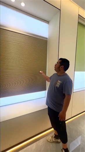 Motorized Blinds Showroom Demo | Custom Smart Window Coverings