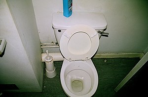 Why Is Shitting Still So Embarrassing?