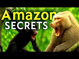RIVER SHADOWS | Secrets & Predators of the Amazon