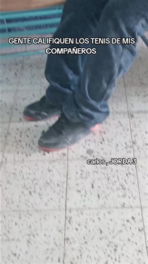 Califiquen los tenis de mis compañeros: opiniones y marcas