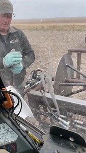 She’s alive!!! #reels #sonnefarms #viral #farm #farmlife | Sonne Farms