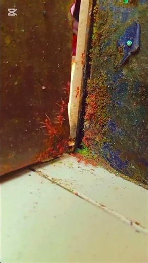 Tiny World of Ants | Amazing Ants in Action 🐜 | Nature Short Video