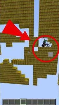 Finding a Needle in Minecraft Haystack! This was pretty funny.