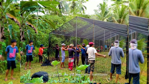 Lanuza, a fourth-class municipality located in Surigao del Sur, is among the most climate-vulnerable towns in the Philippines due to its susceptibility to heavy rainfall that results in a consequential rise in sea levels. Facing the dual challenges of climate change and human-led resource exploitation, Lanuza proactively developed a comprehensive People's Survival Fund (PSF) proposal titled "Disaster Risk Reduction and Management Response (Ridge-to-Reef Approach) as Adaptation Mechanism to Resil