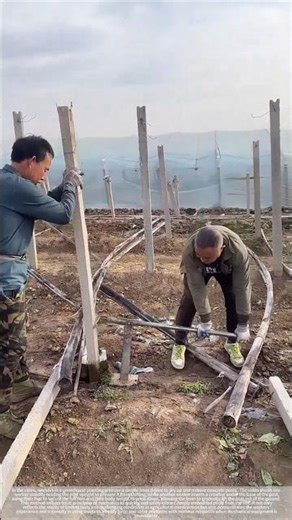 With a lever, the deeply embedded post can be easily pulled out!