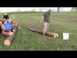 Splitting pine logs for split rail fence
