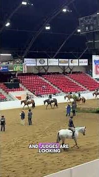 Senior hunter hack at the Congress #equestrian #hunterhack #jumping #aqha #quarterhorse