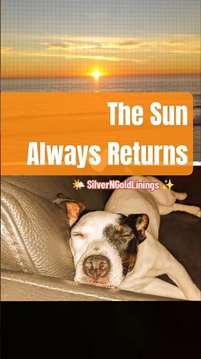 Dog Dreaming of the Ocean | Quiet Poem About Hope and Light