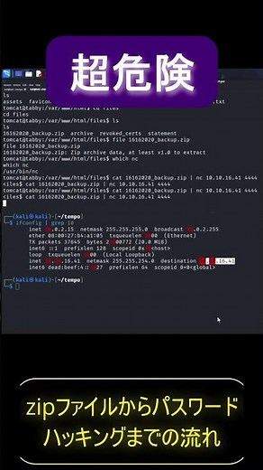 [ハッキング解説] zipファイルも危険！？ パスワード流出までの流れ #サイバーセキュリティ #安全機能 #セキュリティ対策 #解説 #解説動画