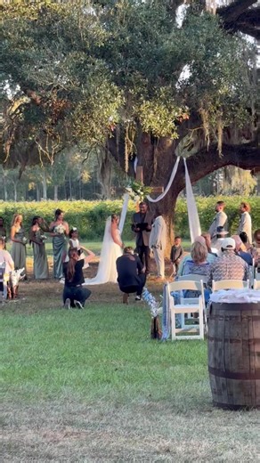 Where it all began 🤍 Our original wedding tree—an ancient southern live oak that’s witnessed generations of love. Framed by the blackberry vineyard, this ceremony spot is still here for couples drawn to the grounding beauty of one unforgettable tree. www.woodberryhavana.com #tallaasseewedding #liveoakwedding #southernweddingvenue #2026bride #outdoorceremony