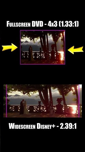The last shots of "Revenge of the Sith" and "Attack of the Clones" on Fullscreen DVDs