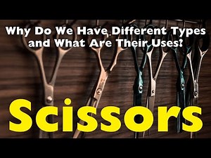 Scissors 101: Which Type Is Right for You?
