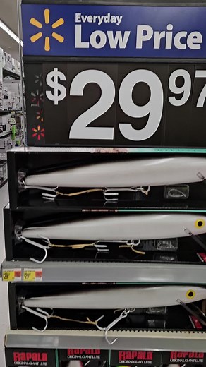 Exploring Fishing Gear at Walmart