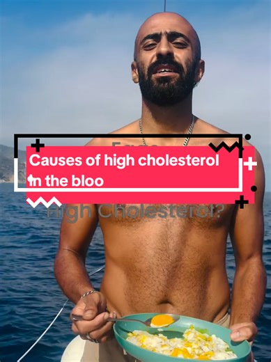 Understanding the Causes of High Cholesterol