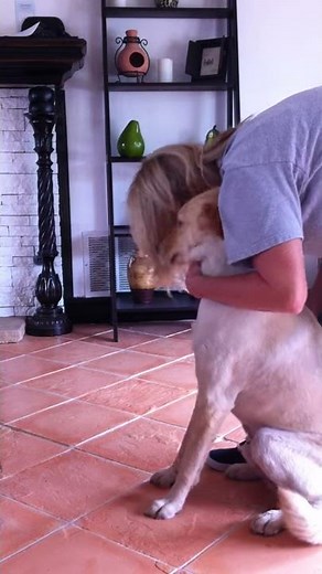 How to burp a megaesophagus dog.