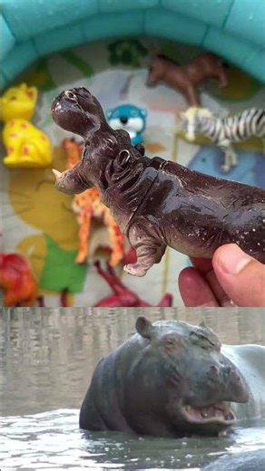 LEARN FARM ANIMALS NAMES, SOUNDS AND FUN FACTS 🐔 EDUCATIONAL TOY VIDEO FOR KIDS