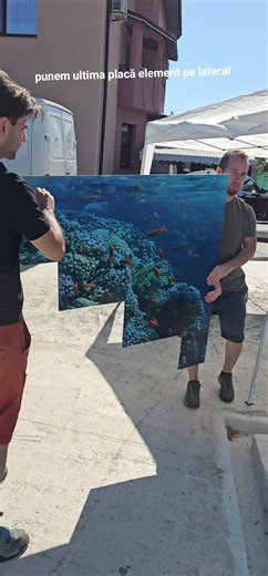 Montaj Piscină cu Grafică 3D și Lumină LED