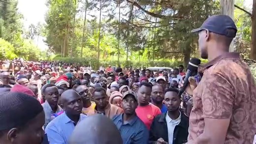 NK-MEDIA (@nkmedia6)’s videos with original sound - NK-MEDIA