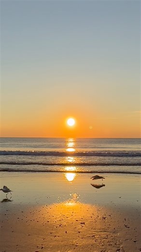 It was an amazing sight to see the crescent moon and Venus right next to each other in the early morning sky over the horizon (first 2 frames). This was followed by a beautiful sunrise and wonderful crashing waves! Happy Friday Everyone! Come back to this page later to see the incredible view of the “earthshining” moon with Venus and Regulus nearby! #sunrise #morningsky #venus #regulus #seawaves #crashing waves #beachlife | Salisbury Sunrises