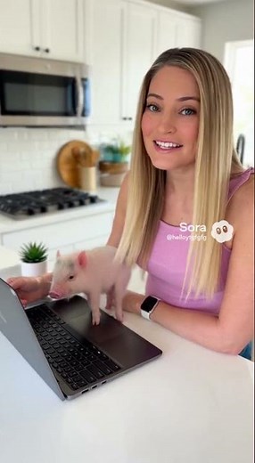 HP - 14" Chromebook - Intel Celeron N4500 2021 - 4GB Memory - 64GB eMMC - Modern Grey