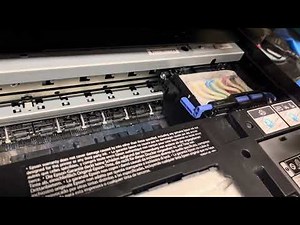 Epson - Ecotank 8550 - Paperjam fixed but now error code 031006 ☠️