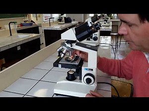 Tuto microscope polarisant