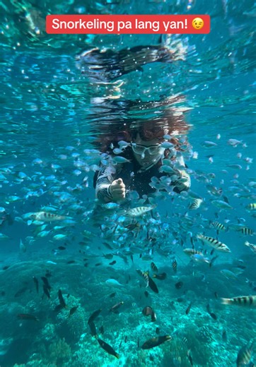 Snorkeling Adventure at Balicasag Island
