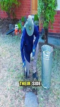 2 feet taken from his yard... an 85-year- old too afraid to speak up #lawn#lawncare#lawnmower