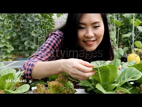 Part 4: Planting The Fields