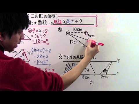 【小５ 算数】 小５－４２ 三角形の面積