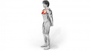 Chest Stretch Variation Three-3d 330-no Background Stock Footage Video (100% Royalty-free) 1108476243 | Shutterstock