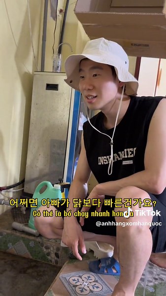 Tội nghiệp các gà của Robin.. #korean #vietnam #hanquoc #anhhangxom #tiktokvietnam 🇻🇳🇰🇷 @Chị Nổi