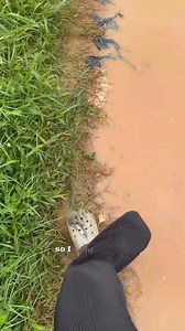 Hopefully it get them to feed well | Enkaylifestyle