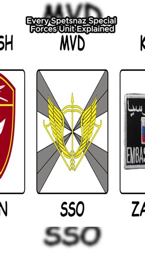 Every Spetsnaz Special Forces Unit Explained (10)