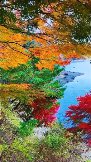 Peaceful Flower Garden Scenery 🌺 Relaxing Nature Music Short | #shorts