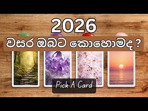 2026 වසර ඔබට කොහොමද ? | Pick a Card Tarot Reading | Tarot Sinhala