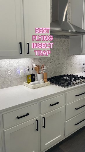 Effective Bug Traps for a Pest-Free Home