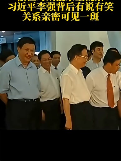 浙江时期温家宝视察习近平李强背后有说有笑关系亲密可见一斑 | chinese people seeing white people