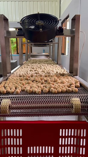 Inside a Meat Processing Facility: Stages of Preparation