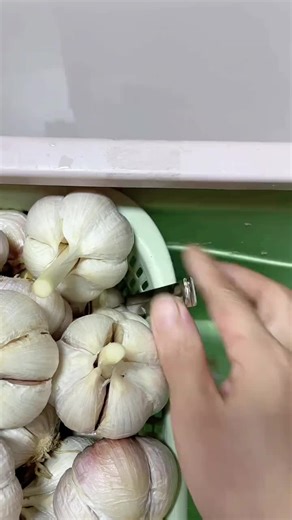 🧄 (@pleaseeatme0)’s videos with original sound - 🧄