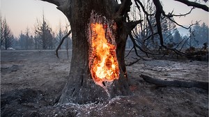 INCREDIBLE VISION: Two out of control fires burn across norther California