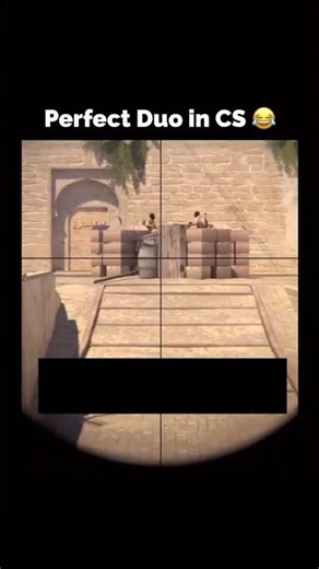 the perfect cs2 duo