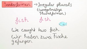 Substantiv – unregelmäßige Pluralformen | sofatutor.com