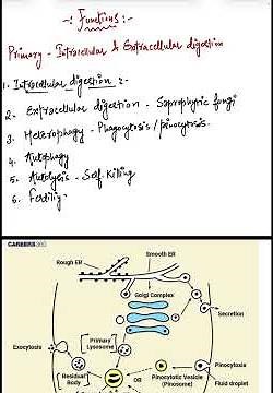 Part 7: LYSOSOMES – functions, CBSE, NEET & CSIR-NET