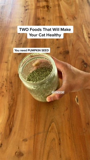 Cat Health Tips: Grinded Pumpkin Seeds & Malt Paste